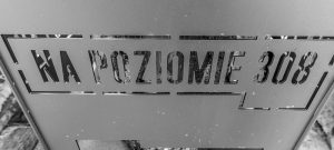 Read more about the article Na Poziomie 308